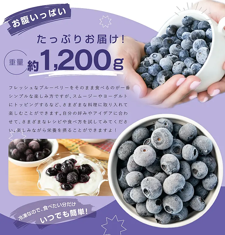 MS-30 冷凍ブルーベリー1.2kg ｜ ふるさと納税 ｜ モンベル
