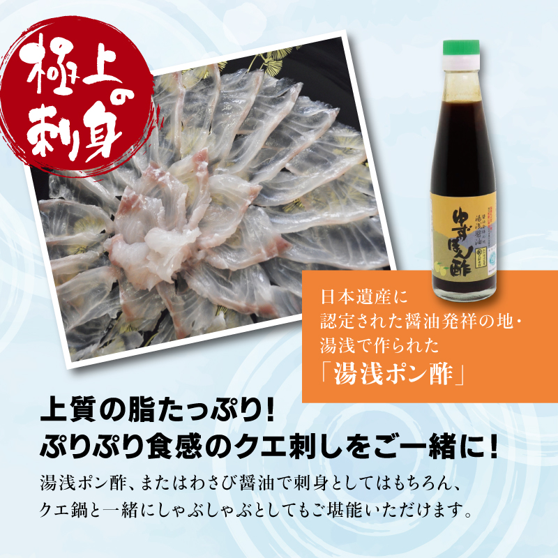 幻のクエ 国産 先行予約 くえ刺身 鍋 湯浅ゆずポン酢セット ふるさと納税 モンベル 幻のクエ 国産 先行予約 くえ刺身 鍋 湯浅ゆずポン酢セット ふるさと納税 モンベル