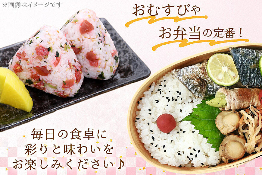 やわらか】信玄の薬膳小梅干 200g×2 [山梨農産食品 山梨県 韮崎