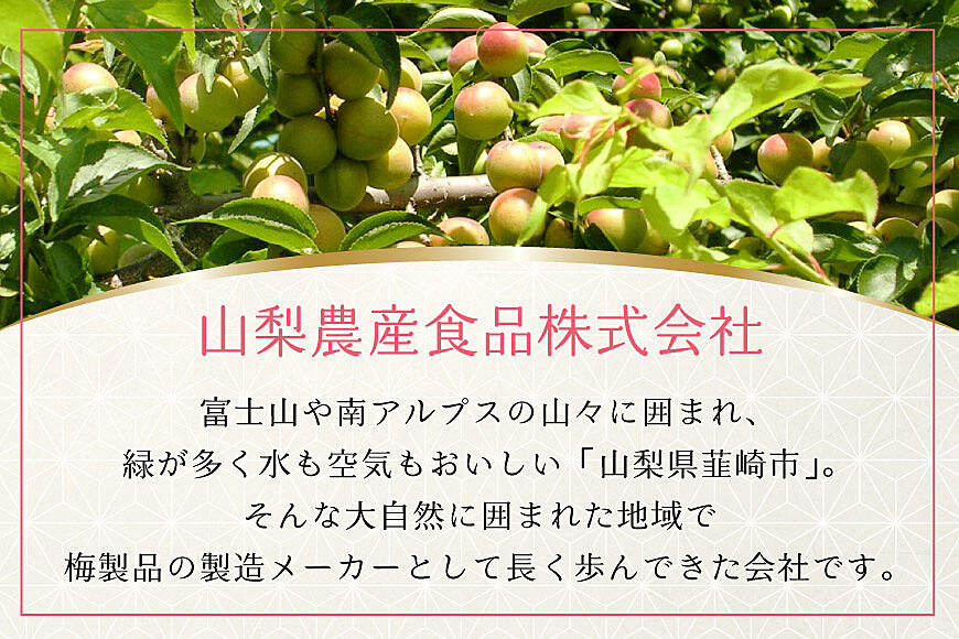 やわらか】信玄の薬膳小梅干 200g×2 [山梨農産食品 山梨県 韮崎
