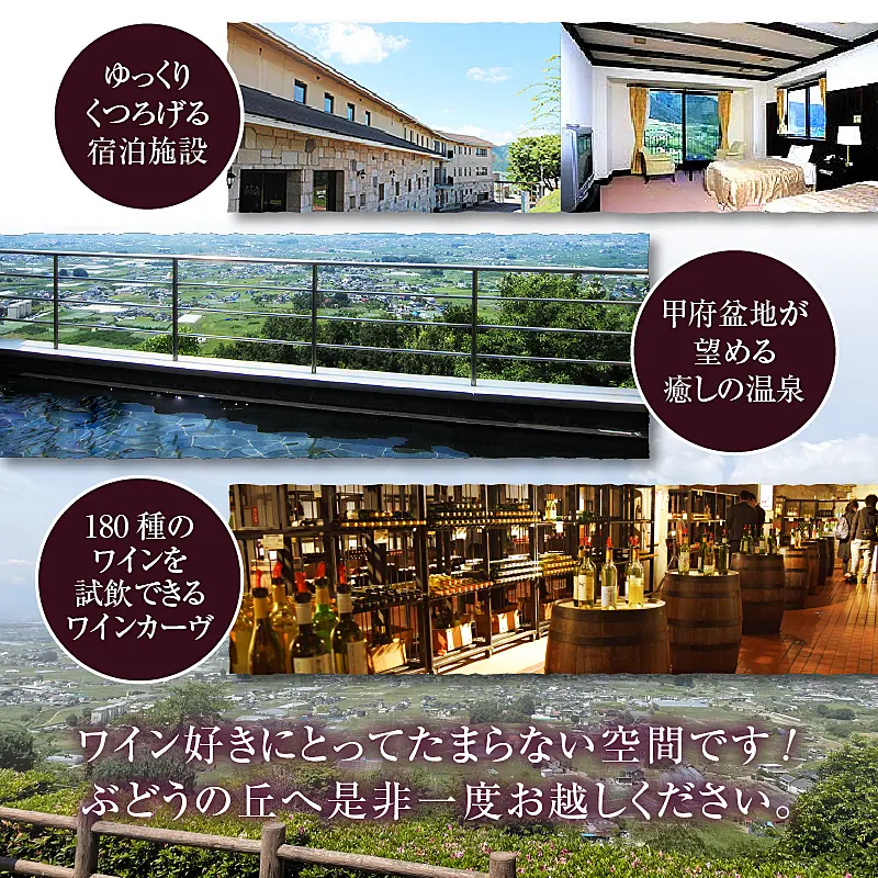 Sugawara Suikyo ポートワインカスク 375ml