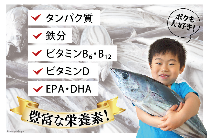 戻り鰹たたき 約1kg カツオ かつお 鮮魚 トロ 冷凍 / カネダイ / 宮城県 気仙沼市 | ふるさと納税 | モンベル 戻り鰹たたき 約1kg カツオ かつお 鮮魚 トロ 冷凍 / カネダイ / 宮城県 気仙沼市 | ふるさと納税 | モンベル
