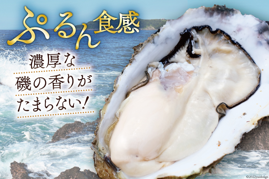 牡蠣 LL3~4年モノ 生食 殻付き牡蠣 約3.5kg(約8-9個入)《2022年12月後半～2023年7月後半発送》 冷蔵 ｜ ふるさと納税 ｜  モンベル