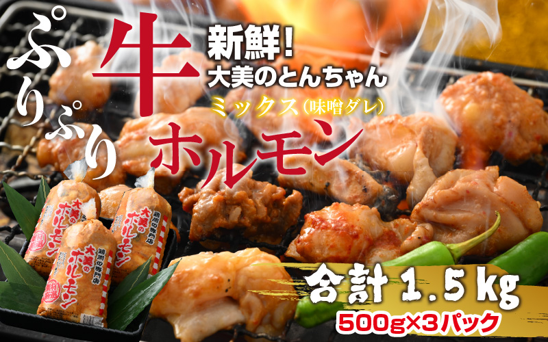 海外輸入 みたけとんちゃん 甘辛みそ味2袋 somaticaeducar.com.br