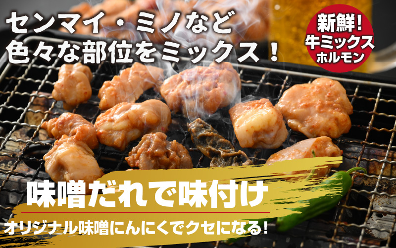 海外輸入 みたけとんちゃん 甘辛みそ味2袋 somaticaeducar.com.br