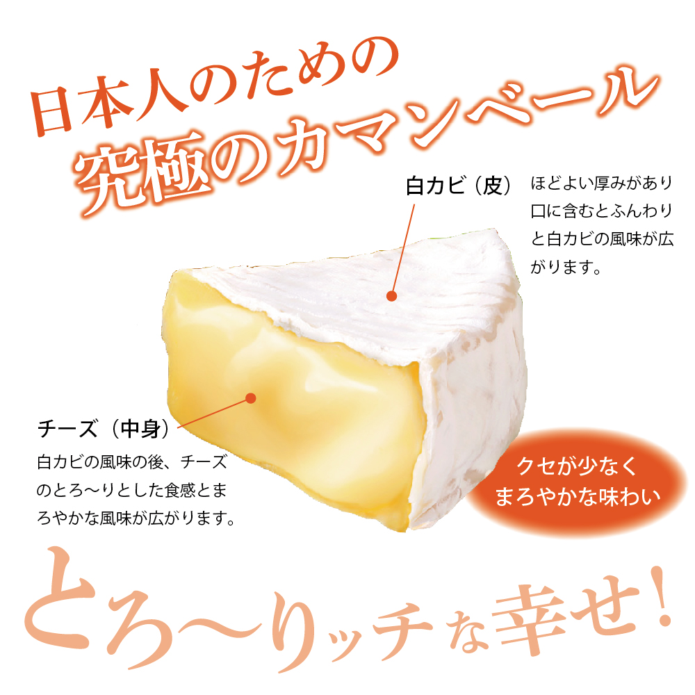 隔月3回コース定期便 明治北海道十勝チーズ カマンベールチーズ燻製入り4種5個セット 計3回 Me003 011 K3 ふるさと納税 モンベル