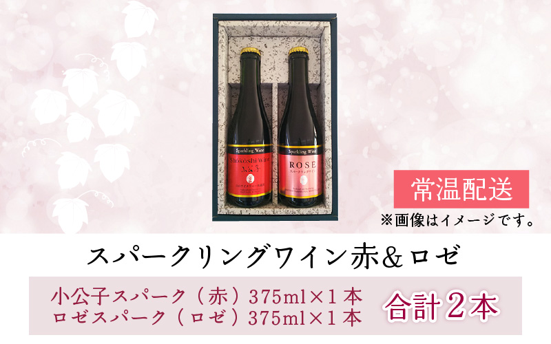 山形県産ワインセット（スパークリング・ロゼ・赤・白） FYN6-108 月山山麓 シードルスパークリング＆ロゼスパークリング