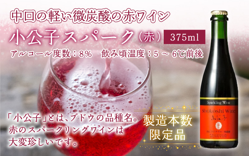スパークリングワイン 赤 ＆ 白 375ml 2本セット [A-021007