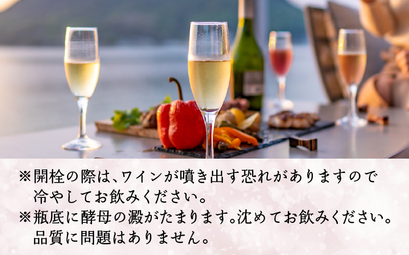 赤ワイン・白スパークリングワインの２本セット 赤ワイン・白スパークリングワインの2本セット 楽天市場】天使