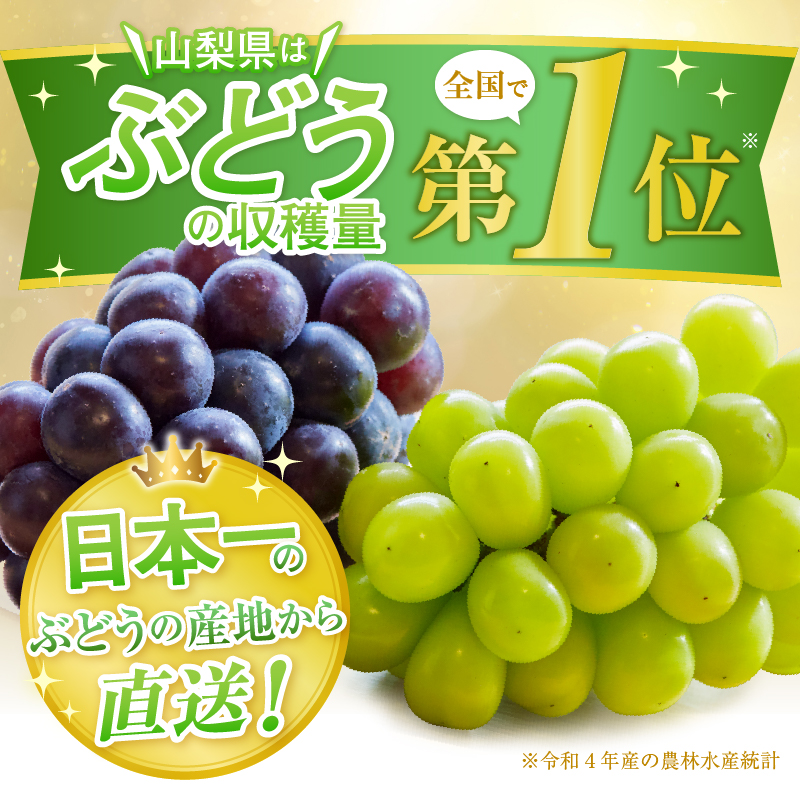新鮮産直甲州市！シャインマスカット 約1.2kg 2～3房【2025年