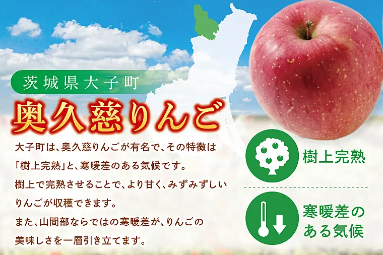 藤田観光りんご園】りんご園で焼いた贅沢アップルパイ（ホールサイズ