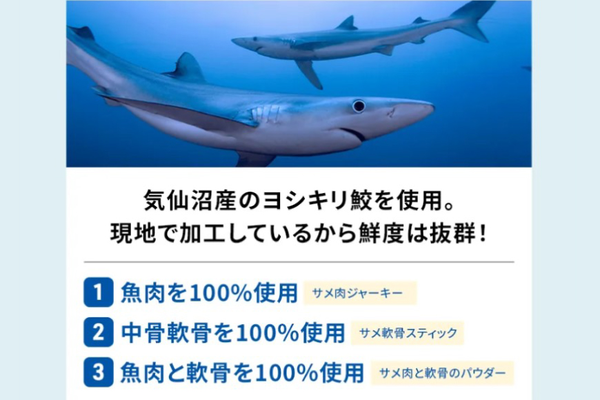 サメ子様 確認ページ どっちが強い！？ サメvsメカジキ 海の頂上決戦 | 新野 大