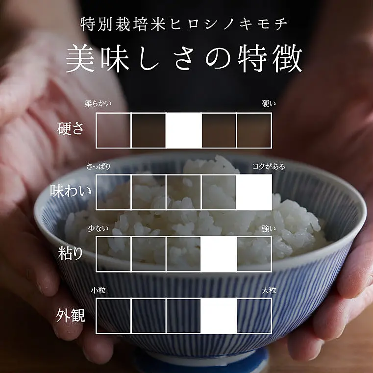特別栽培米 コシヒカリ ヒロシノキモチ 10kg 陽咲玲 米 お米 特別栽培米 コシヒカリ ヒロシノキモチ 10kg 陽咲玲 米 お米