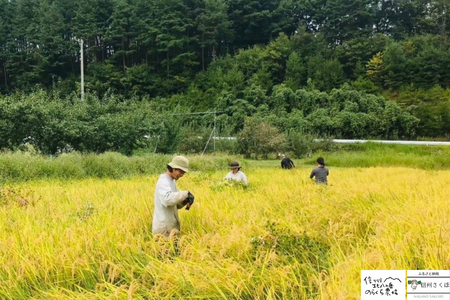 無農薬栽培米 のらくら農場で育てたお米 玄米 ４キロ〔NK-15〕栽培期間