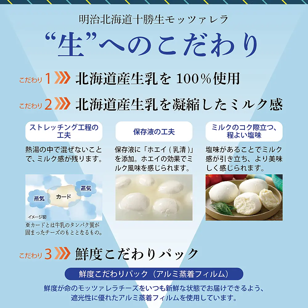 隔月6回コース定期便】明治北海道十勝チーズ 生モッツァレラ6個