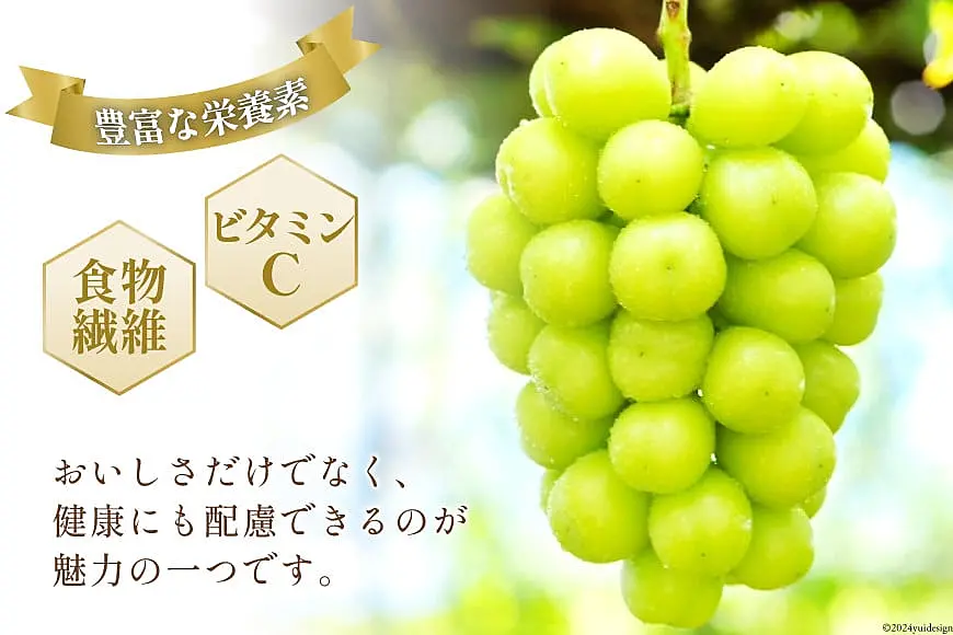 どかーん厳選山梨シャインマスカット5000g wamers_87777110-285