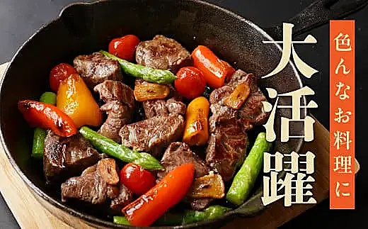 mrz0156 やわらか牛ヒレ肉 1kg 小分け 500g×2P【氷温熟成×特製