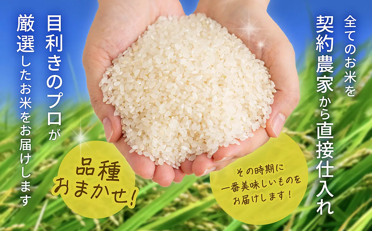 食品 ももちゃんさま専用 お米 20キロ