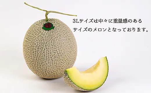 メロンとメロンゼリーセット（メロン中玉）