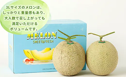 徳之島 天城町 吉川果樹園 アールスメロン 3Lサイズ 2玉 メロン マスク