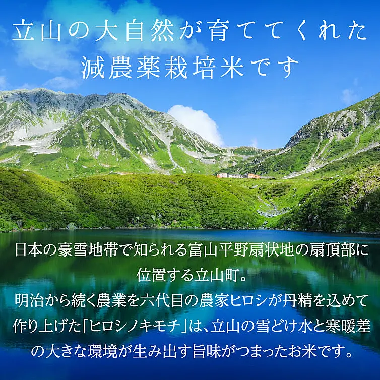 玄米　10kg 宝田工業 循環式 精米機 10kg N-10DX 籾・玄米両用 [家庭用 業務