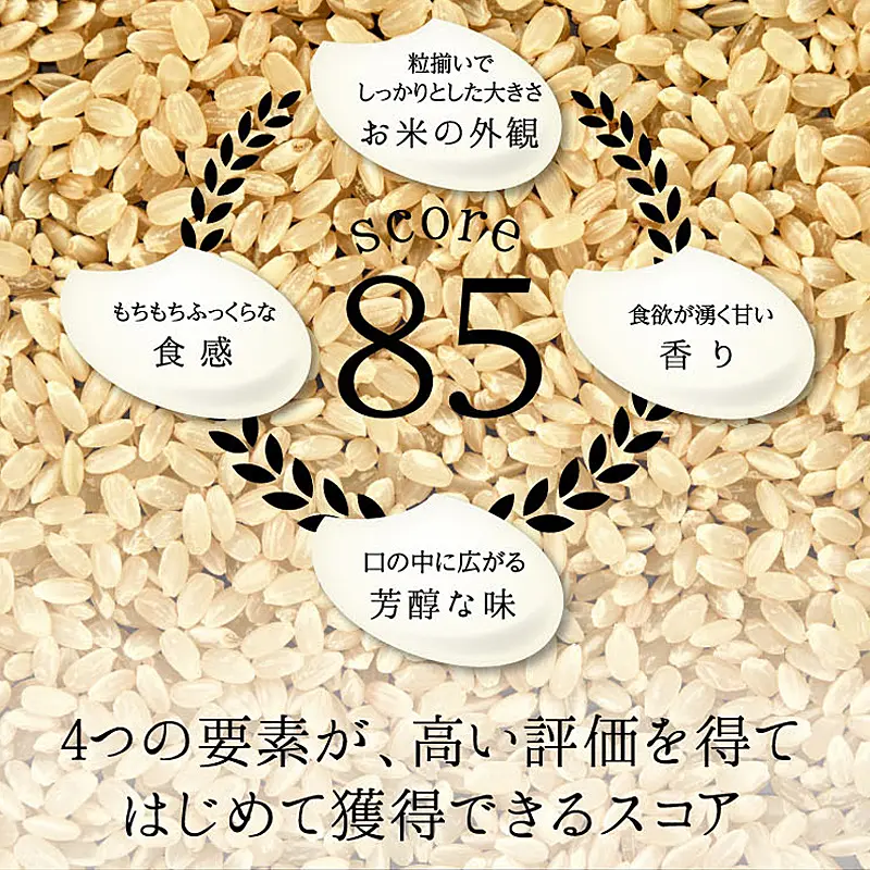 6回定期】特別栽培米 コシヒカリ ヒロシノキモチ 玄米 5kg 総計