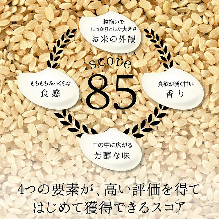 3回定期】特別栽培米 コシヒカリ ヒロシノキモチ 精米 5kg 総計