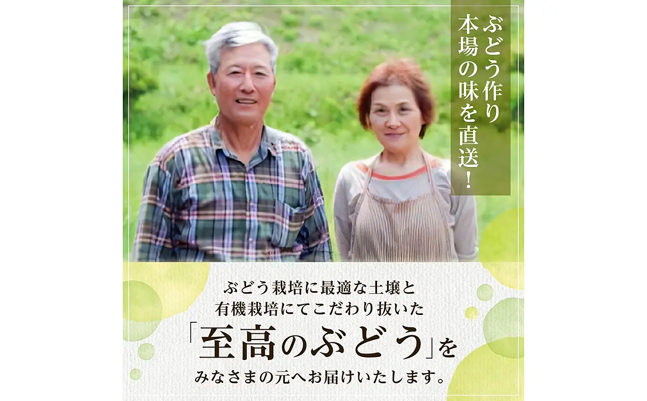 青森県産/山葡萄の蔓皮/2023年度採取 山葡萄のつる皮の採取 - 工房はしばみ