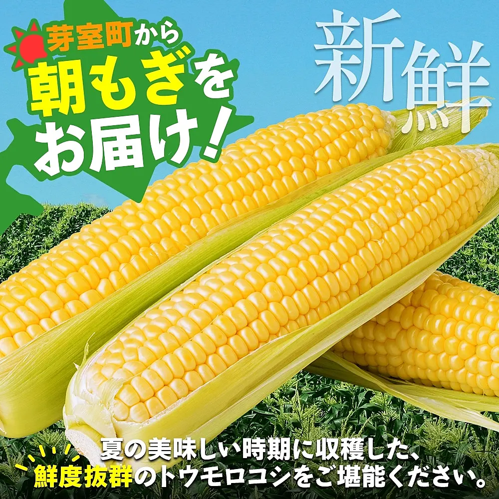 2025年分先行予約】とうもろこし ゴールドラッシュ 50本 me035 2025年分先行予約】とうもろこし ゴールドラッシュ 50本 me035