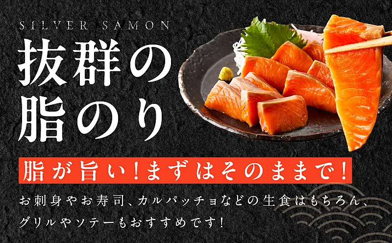 サーモン G1822 【訳あり】生食用 シルバーサーモン 1kg ポーション