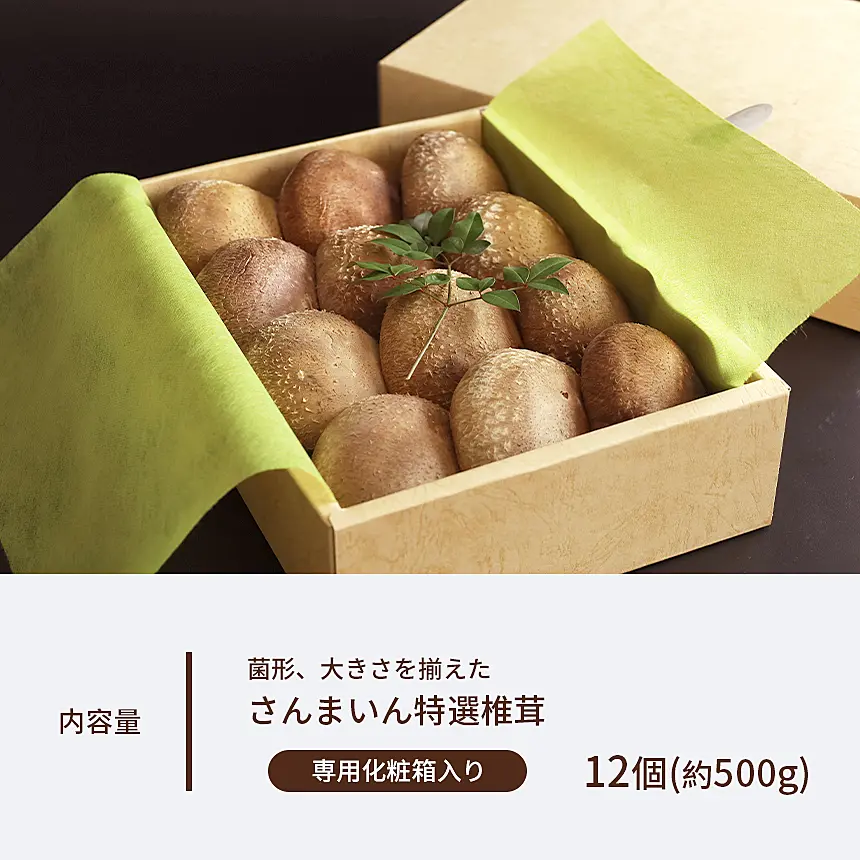 菌床椎茸 美峰の恵み さんまいん (12個) ｜ ふるさと納税 ｜ モンベル