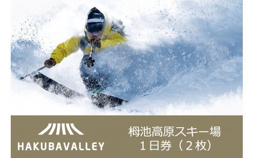 HAKUBA VALLEY 10スキー場共通1日券（2枚） ｜ ふるさと納税