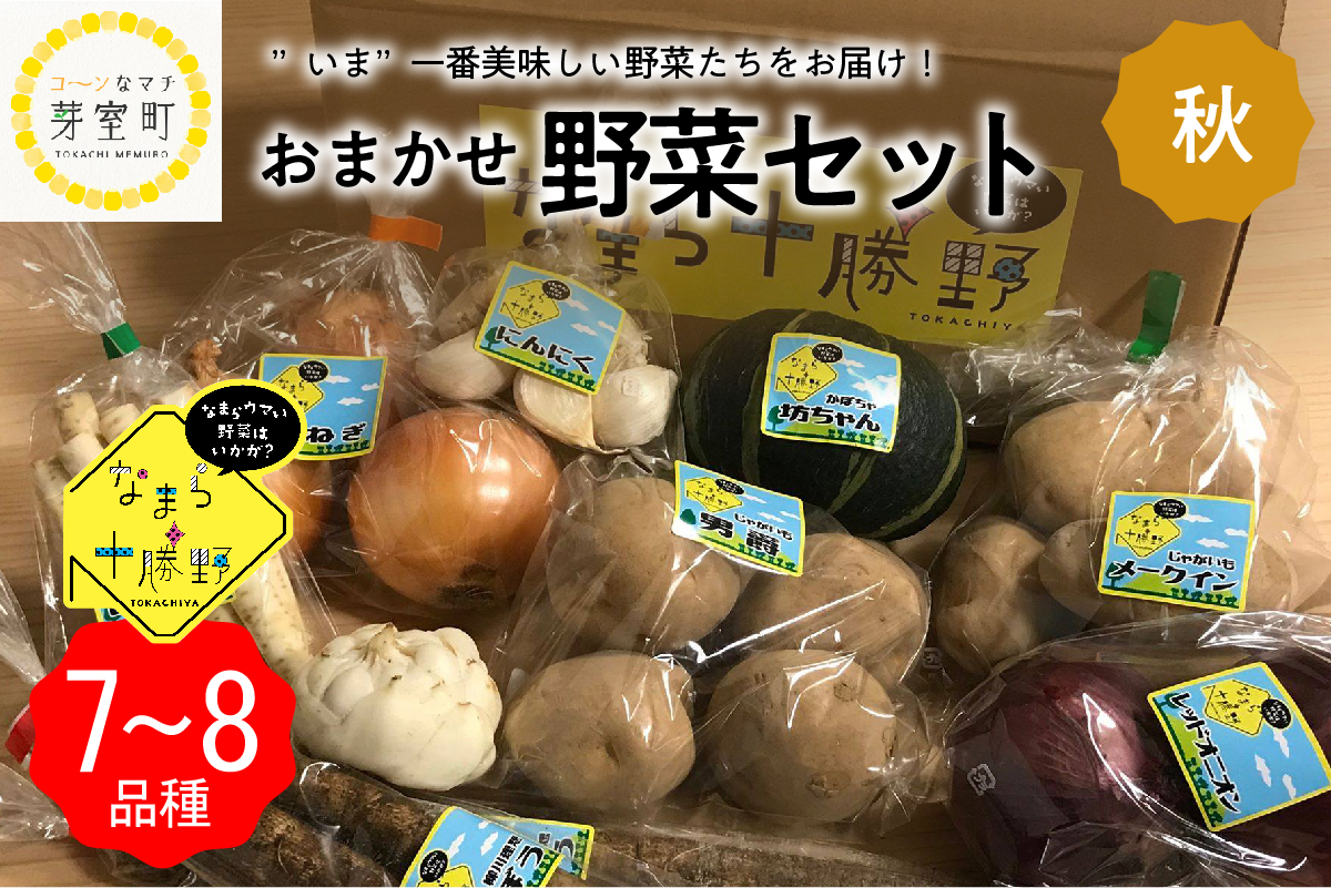 隔月6回コース定期便】明治北海道十勝チーズ カマンベールチーズ燻製入り4種5個セット 計6回 me003-011-k6 ｜ ふるさと納税 ｜ モンベル