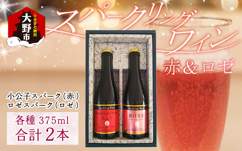 スパークリングワイン 赤 ＆ ロゼ 375ml 2本セット [A-021006