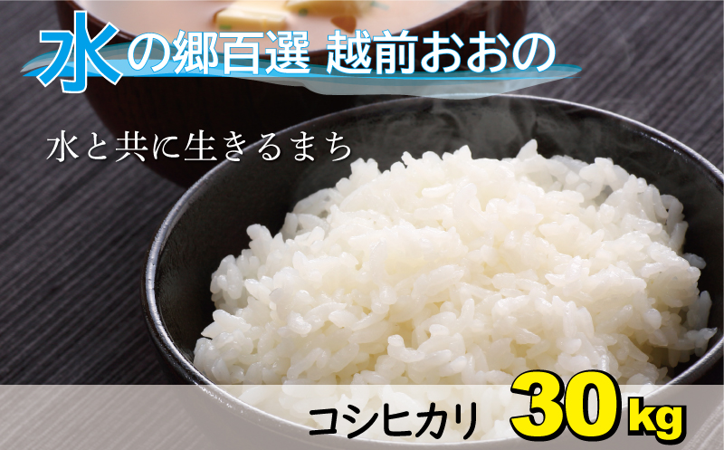 玄米30kg　米/穀物　福井県越前大野産　コシヒカリ