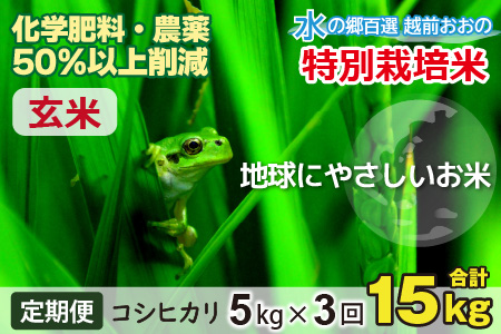 令和5年産新米 3ヶ月定期便 こしひかり5kg×3回 計15kg【玄米】減農薬