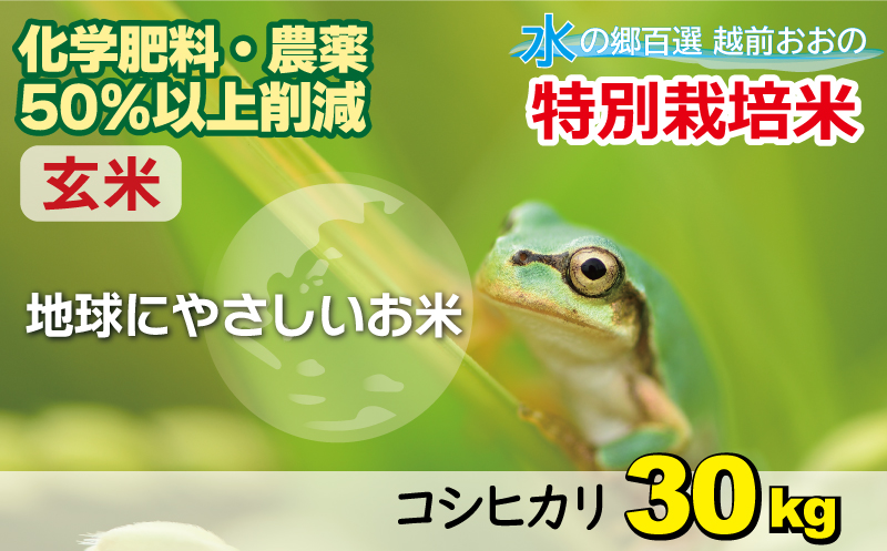 令和5年産】こしひかり 30kg【玄米】減農薬・減化学肥料 「特別栽培米