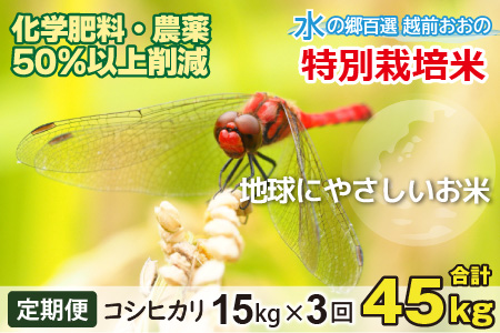 令和5年産新米 3ヶ月定期便 こしひかり15kg×3回 計45kg【白米】減農薬