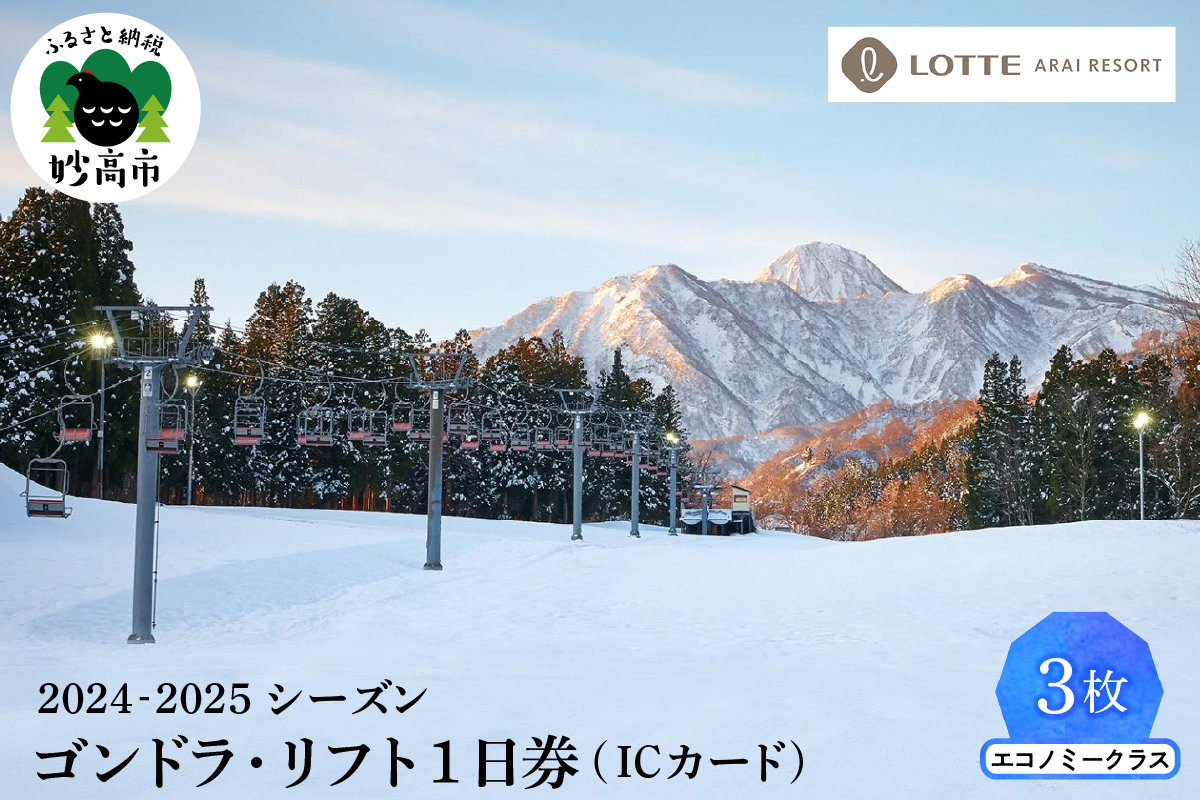 ロッテアライリゾート1日券 全日本送料無料 - スキー場