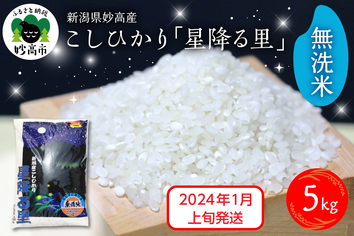 ふるさと納税 妙高市 2024年1月上旬発送 新潟県上越・妙高産 新之助