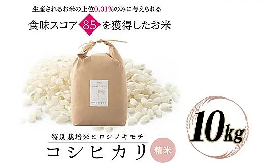 特別栽培米 コシヒカリ ヒロシノキモチ 10kg 陽咲玲 米 お米 コメ 白米 精米 ご飯 ごはん 富山県産 F6T-525 ｜ ふるさと納税 ｜  モンベル