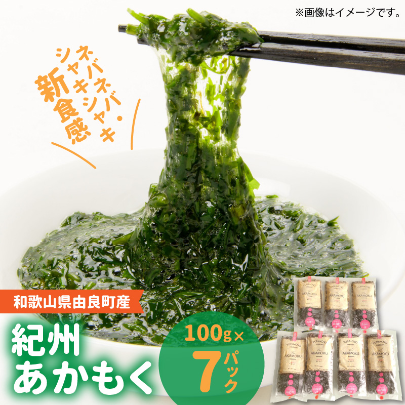 ふるさと納税 紀州あかもく［由良町産］100g×5パック（2024年産） 和歌山県印南町 由良町産］紀州あかもく 100g×5パック（2025年産）sml132B