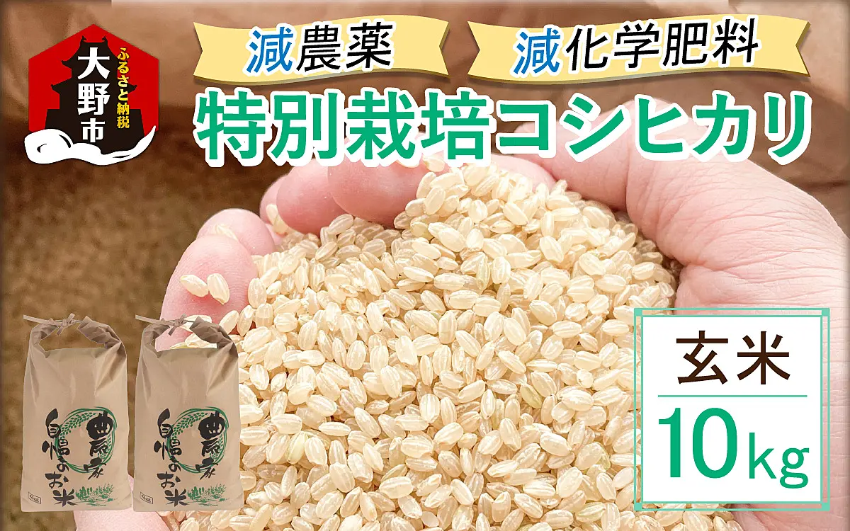 ☆新米☆農家直送☆令和6年産コシヒカリ☆減農薬＆有機