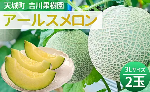 楽天市場】アールスメロン マスクメロン メロン めろん 2玉 2.6kg 各1.3kg 高知 赤肉 青肉 セット 果物 果実 フルーツ ギフト 贈答  お歳暮 お祝い お供え【MN】[高知県産 アールスメロン] : フルーツスタジオ＋