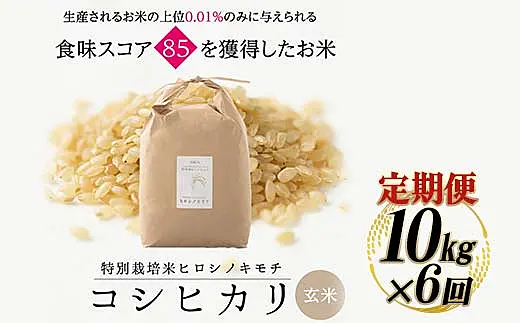6回定期】特別栽培米 コシヒカリ ヒロシノキモチ 玄米 10kg 総計