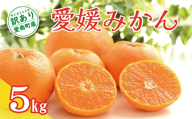 先行予約 訳あり 愛媛みかん 5kg 7000円 温州みかん 蜜柑 愛媛 先行予約 訳あり 愛媛みかん 5kg 7000円 温州みかん 蜜柑 愛媛