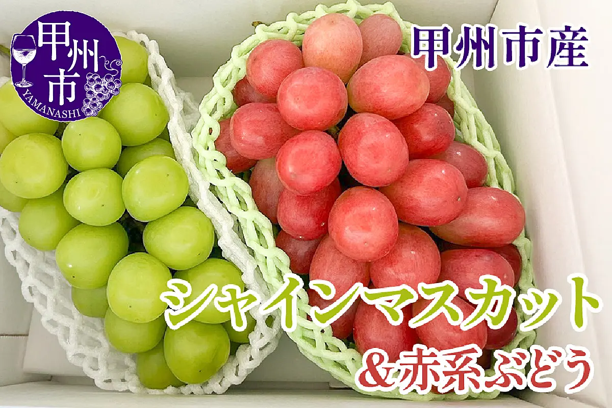 クール配送】シャインマスカット＆赤系ぶどう 各1房（2房合計約1kg
