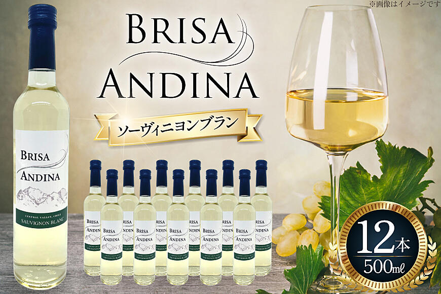 ワイン 白 ブリサ・アンディーナ ソーヴィニヨンブラン 500ml 12本